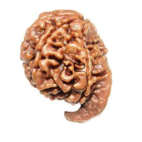 Ganesh Rudraksha